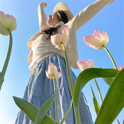 荒野巨兽